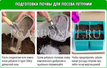 Успішне вирощування петунії з насіння в домашніх умовах (насіння) Успішне вирощування петунії з насіння в домашніх умовах