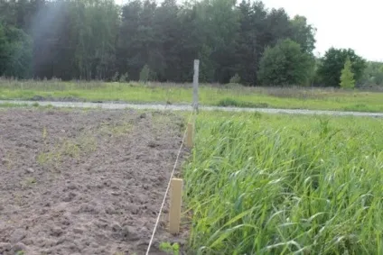 Установка стовпів для забору металеві, дерев'яні конструкції та інші, відео та фото (дерев'яні) Установка стовпів для забору металеві, дерев'яні конструкції та інші, відео та фото