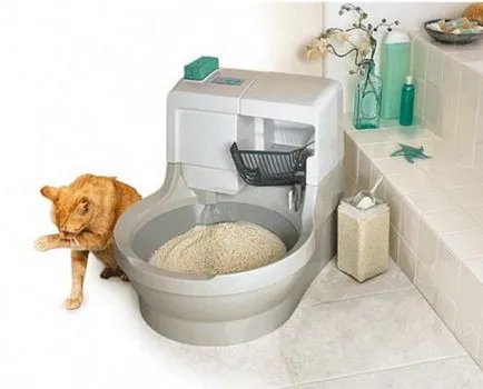 Cum să scapi de mirosul de sfaturi urină pisica