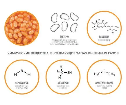 Как да се отървете от миризмата на чесън - храна и други трансформации