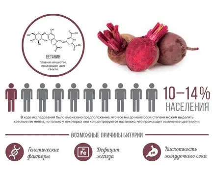 Cum să scapi de mirosul de usturoi - alimente și alte transformări