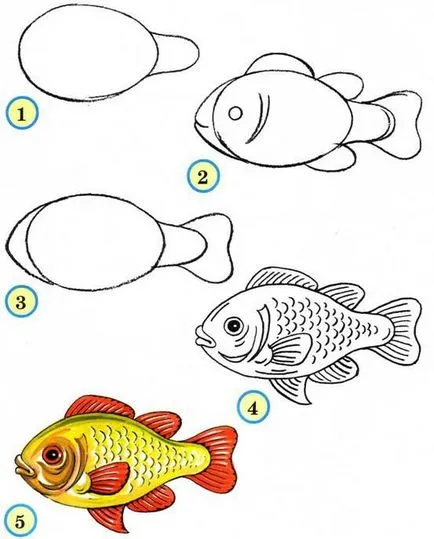Как да се направи красива риба на етапи - как да се направи риби в стадии