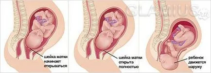 Pe măsură ce bătălia începe înainte de naștere - Bout prenatale