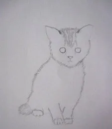 Как да се направи едно коте или котка молив етапи - снимки и рисунки на вашия работен плот безплатно