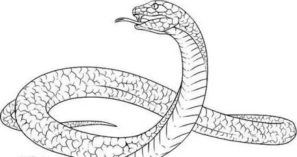Как да се направи змия и как да се разбере по-добре