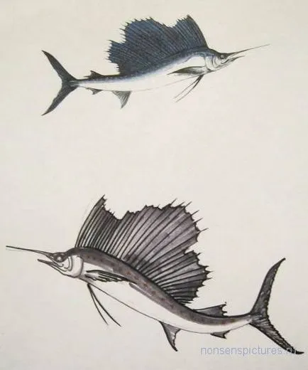 Как да се направи риба платноходка, блог графичен дизайнер Novikovoy Mariny малка книжка на глупости