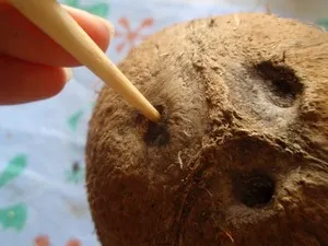 Cum de a deschide un conținut caloric de nucă de cocos și proprietăți benefice