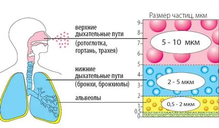 Cum se utilizează un inhalator pentru astm (copii și adulți), nebulizator cu ultrasunete și