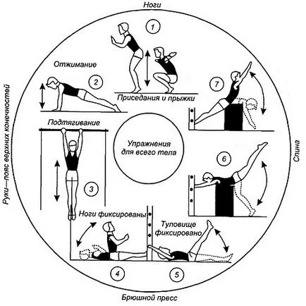 Cum de a pierde în greutate în programul de exerciții de gimnastică pentru femei, dieta