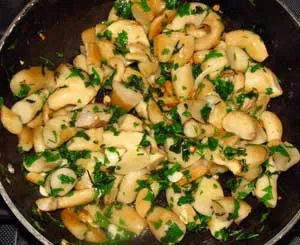 Cum de a găti ciuperci stridie - stridii supa de ciuperci