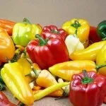 Догляд за малиною посадка, осіння обрізка і розмноження (посадка) Догляд за малиною посадка, осіння обрізка і розмноження