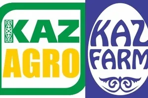 У чому гріти їжу