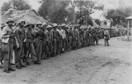 Mivel a magyar fehérek legyőzték a németeket Paraguay - műholdas és súlyos testi sértés