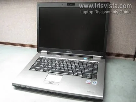 Cum să dezasamblați laptopul Asus Eee PC 1215B - blogofolio Romana Paulova