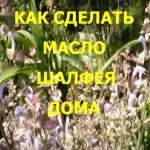 Как да си направим масло от градински чай у дома