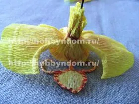 Hogyan készítsünk egy orchidea édességek kezével