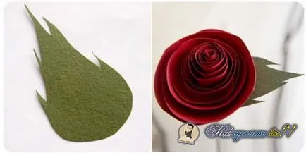Hogyan készítsünk egy rózsa papírból szakaszokban fotókkal