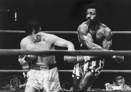 Hogyan kell lőni a film „Rocky” - hírek képekben