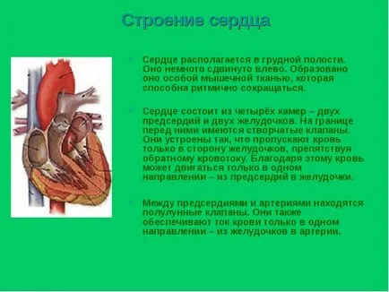 Cum să stați prezentarea sănătoasă a raportului, proiectul