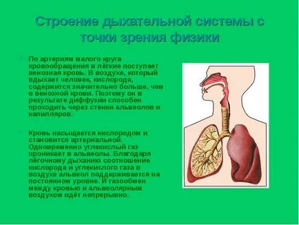 Cum să stați prezentarea sănătoasă a raportului, proiectul