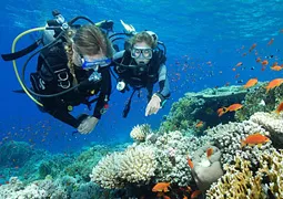 Як стати дайвером (PADI Open Water Diver) Як стати дайвером