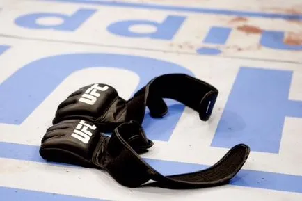 Hogyan válhat egy MMA útmutató Sports Equipment