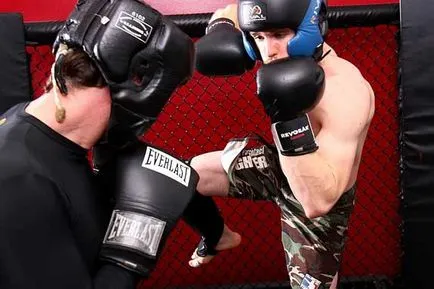 Hogyan válhat egy MMA útmutató Sports Equipment