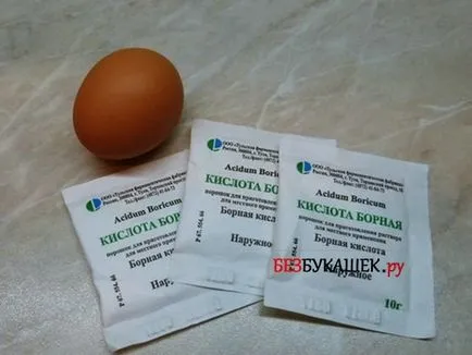 Както борна киселина хлебарка отрова рецепта действие с яйце и неговото прилагане