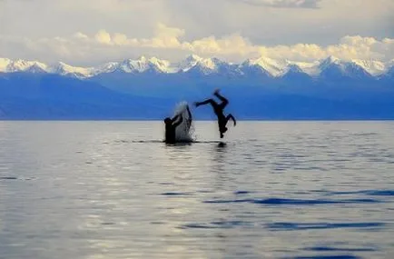 Cum să se comporte de relaxare pe sidefiu Issyk-Kul Lacul, Issyk-Kul 2016