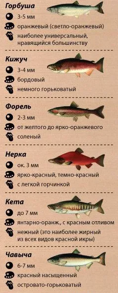 Як вибрати якісну червону ікру (червону) Як вибрати якісну червону ікру