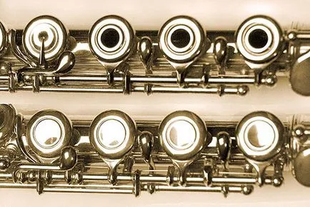 Cum de a alege un flaut de predare la o școală de muzică