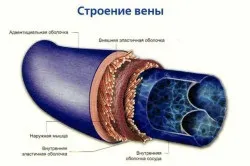 венозна кров