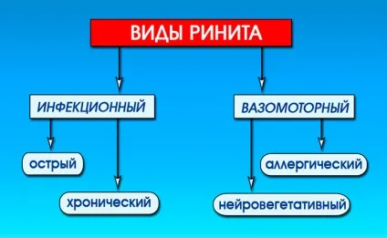 Види нежиті і риніту у дорослих - які різновиди існують (Інфекційний риніт може) Види нежиті і риніту у дорослих - які різновиди існують