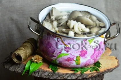 Гливи мариновані в домашніх умовах - покроковий рецепт з фото, консервування (мариновані гливи фото) Гливи мариновані в домашніх умовах - покроковий рецепт з фото, консервування