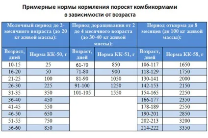 Угорські свині мангалица характеристики, опис породи (свині) Угорські свині мангалица характеристики, опис породи
