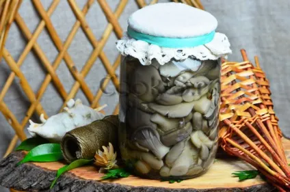 Гливи мариновані в домашніх умовах - покроковий рецепт з фото, консервування (вешенки) Гливи мариновані в домашніх умовах - покроковий рецепт з фото, консервування