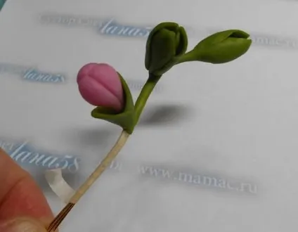 Гілочка фрезії з холодного фарфору (порцеляни) Гілочка фрезії з холодного фарфору