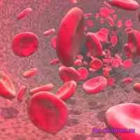 Як запланувати стать майбутньої дитини