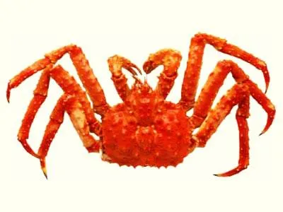 Regele crab - o comoară pe care le pierdem