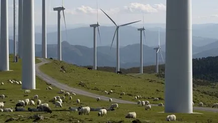 Hogyan lehet pénzt a megújuló energiaforrások - a legjobb üzleti ötletek