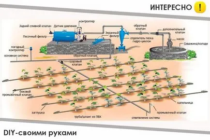 Крапельний полив
