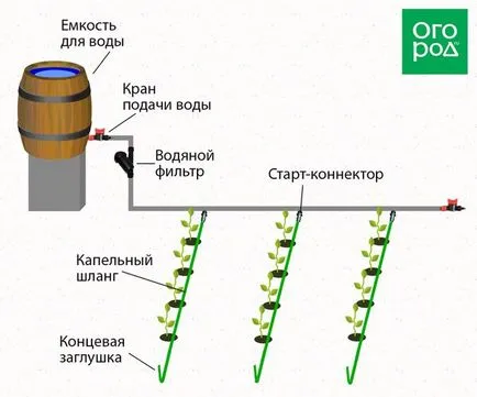 Крапельний полив