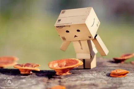 Karton férfi Danby (danbo)! Fair iparosok - kézzel készített, kézzel készített