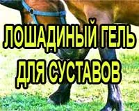 Керосин върху ставите, живот без скърцането - опитът на лечение на ставите в дома