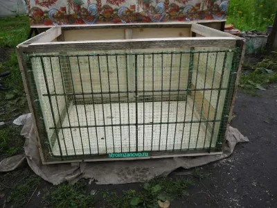 Cage pentru puii de găină