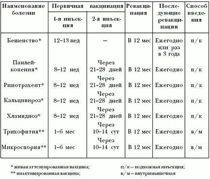 Amikor szükség van beoltani a cica - immunizációs rend macskák, az első priviki mi