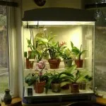 Саксийни растения в интериора на проектни растения апартамент декорация