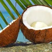 ulei de nucă de cocos în beneficii cosmetice și a efectelor nocive