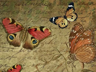Събиране на пеперуди като хоби