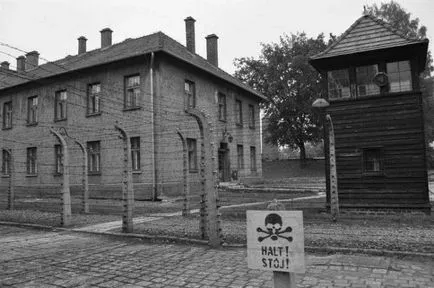 Auschwitz șocant adevăr - fapte fotografie lume